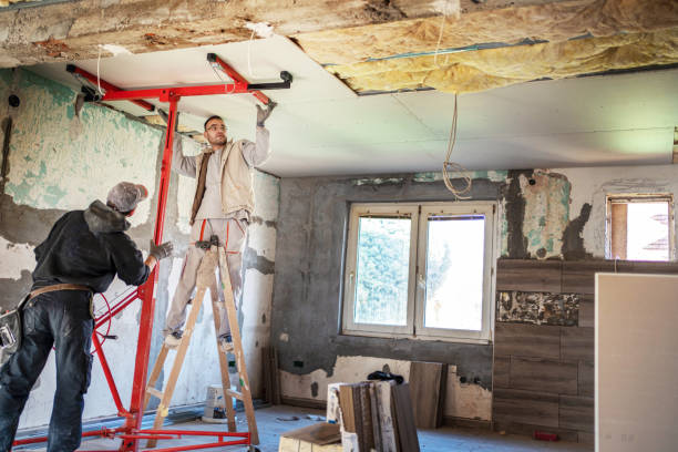 Best Types of Insulation in Des Allemands, LA