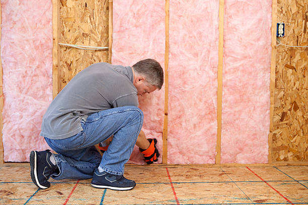 Best Specialty Insulation in Des Allemands, LA