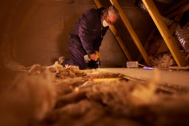 Best Insulation for Specific Applications in Des Allemands, LA